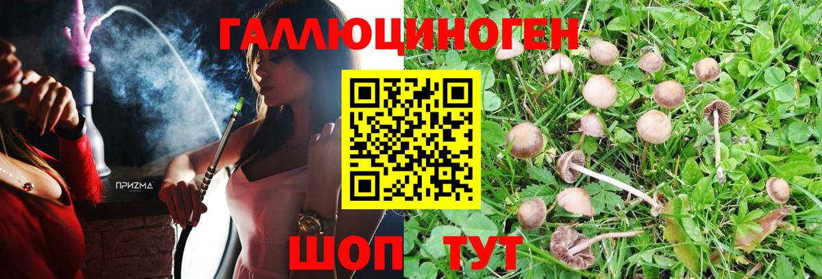 Королёв  Псилоцибиновые грибы Magic Shrooms  Вход с VPN  Псилоцибиновые грибы Magic Shrooms 
